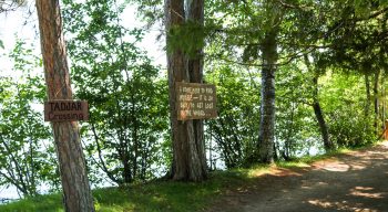 Tadjar Crossing and quote signs on trees along camp path