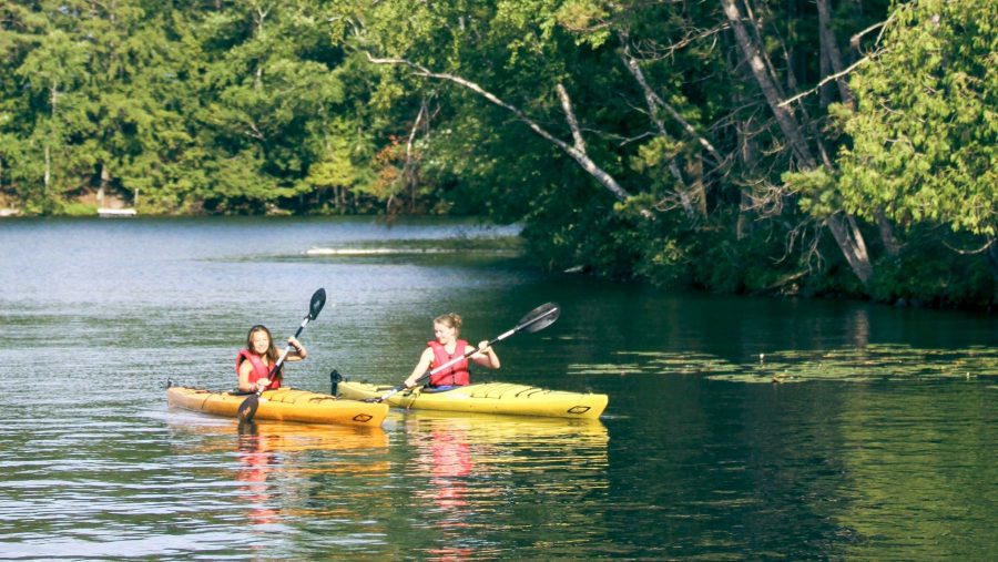 Campers kayak near tree-covered shoreline